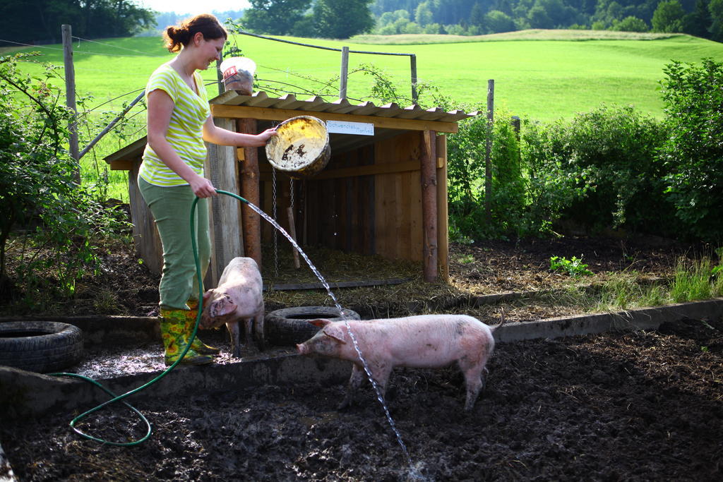 Farm stay Nussbaumer Am Irrsee