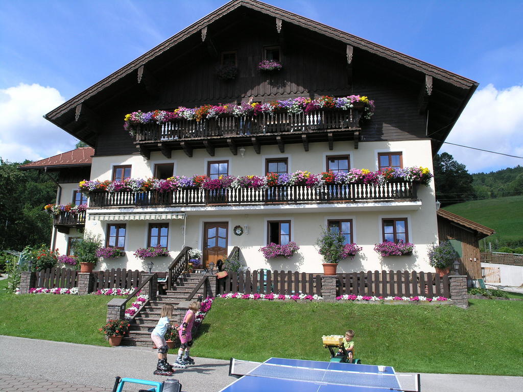 Nussbaumer Am Irrsee