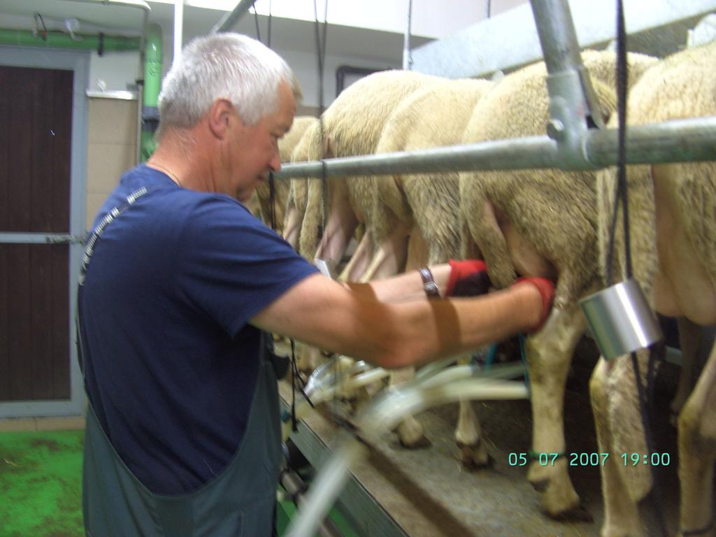 Farm stay Nussbaumer Am Irrsee Tiefgraben